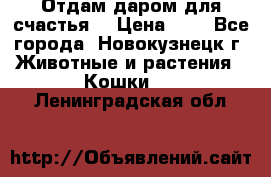 Отдам даром для счастья. › Цена ­ 1 - Все города, Новокузнецк г. Животные и растения » Кошки   . Ленинградская обл.